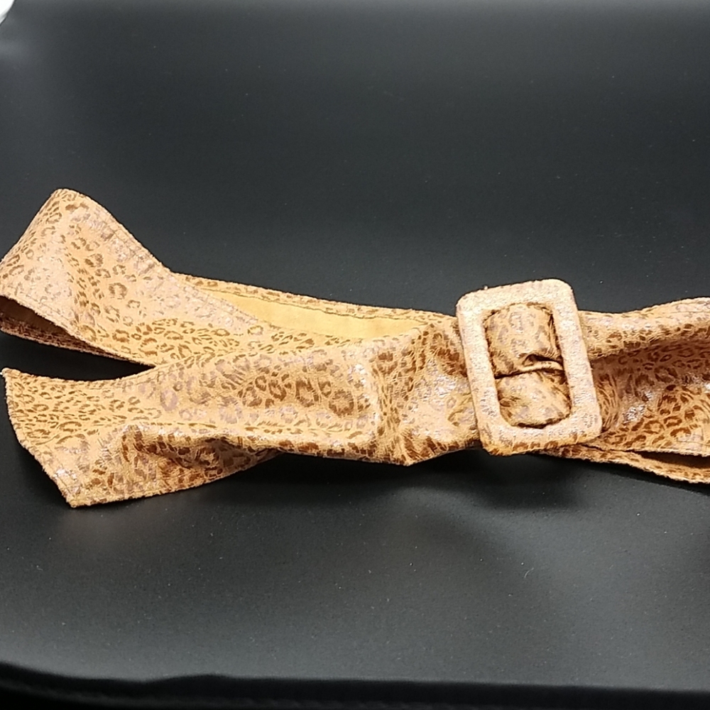Adjustable belt